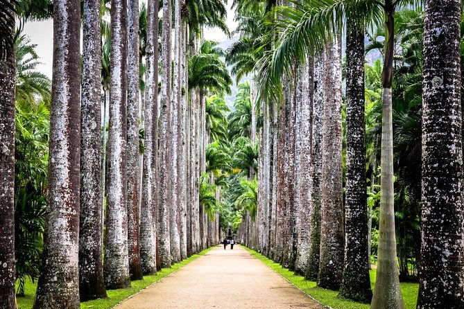 jeep-tour-to-botanical-garden-and-tijuca-rainforest