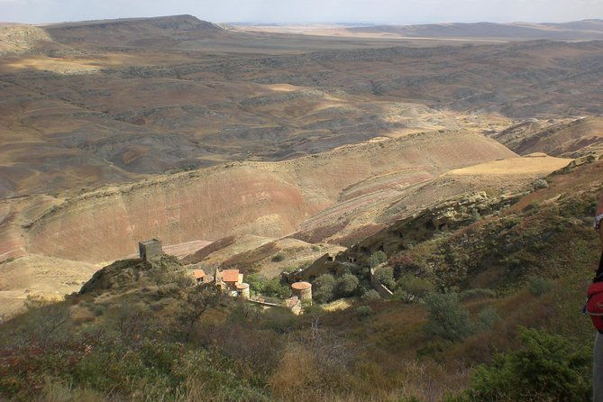 jeep-tour-to-david-gareja-semi-desert-wildlife