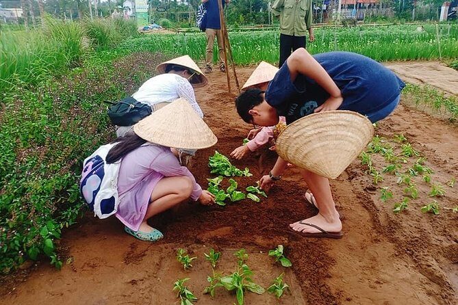 Jeep Tour to Hoi An Countryside with 3 Local Villages & Basket Boat Ride - A Closer Look at the Itinerary and What You Can Expect