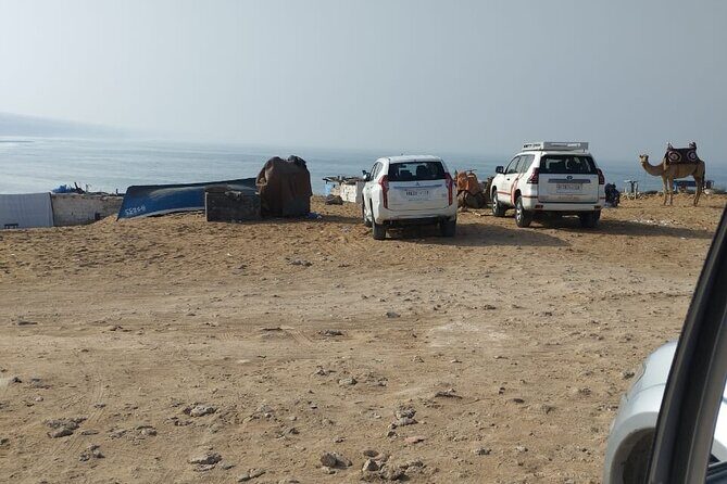 Jeep Tour to Mini Sahara With Lunch Small group - Final Thoughts