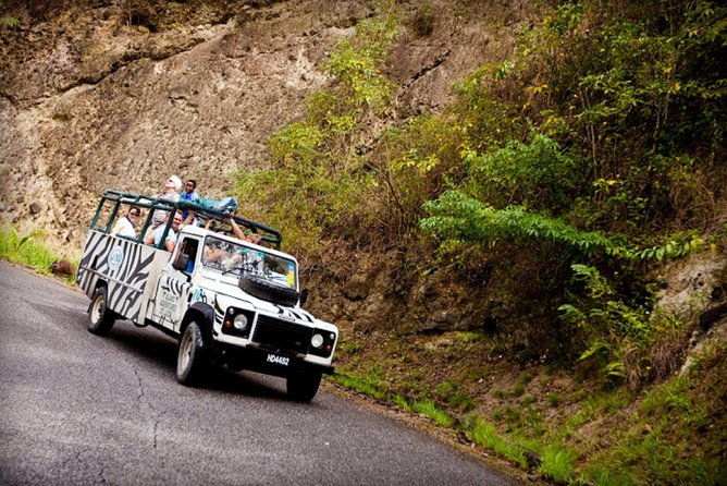 jeep-zip-safari-st-lucia-from-castries