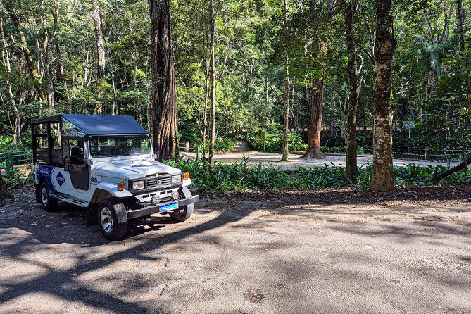 jeepnculture-rocinha-favela-and-tijuca-rainforest-tour
