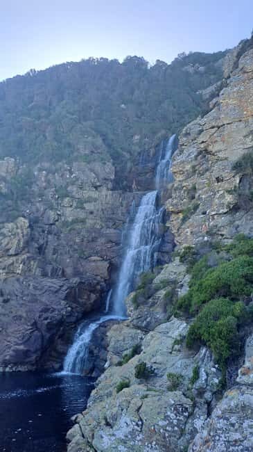 Jeffreys Bay: Storms River Nature Reserve Guided Day Trip - Exploring the Storms River Nature Reserve