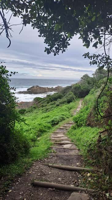 Jeffreys Bay: Storms River Nature Reserve Guided Day Trip - Who Should Consider This Tour?