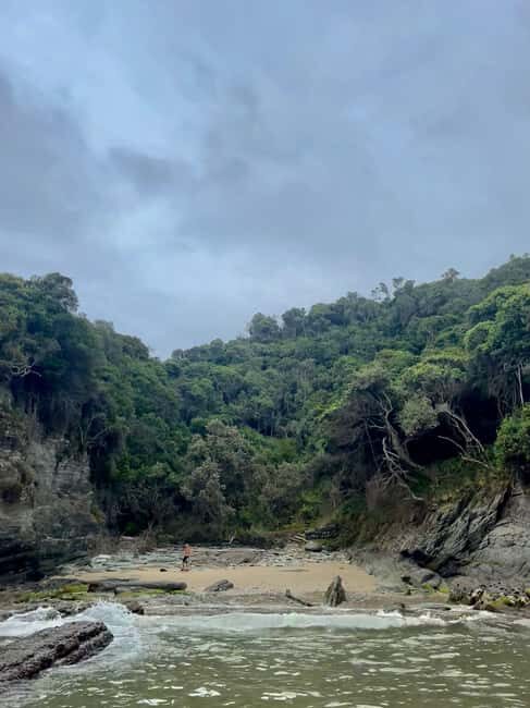 Jeffreys Bay: Storms River Nature Reserve Guided Day Trip - Final Thoughts