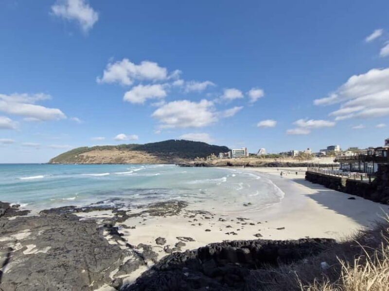 Jeju: 4.3 Incident History & Cultural Tour with a Guide - What We Loved About the Tour