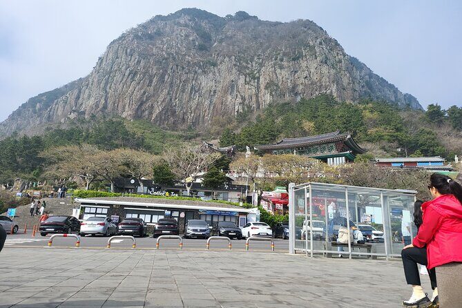 Jeju airport start & west tour & drop off in seogwipo(Jeju city) - Key Points