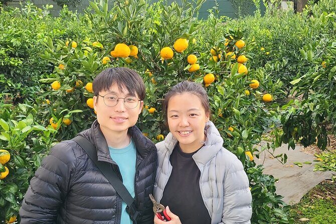 Jeju airport start & west tour & drop off in seogwipo(Jeju city) - What Reviewers Say (Based on the Data)