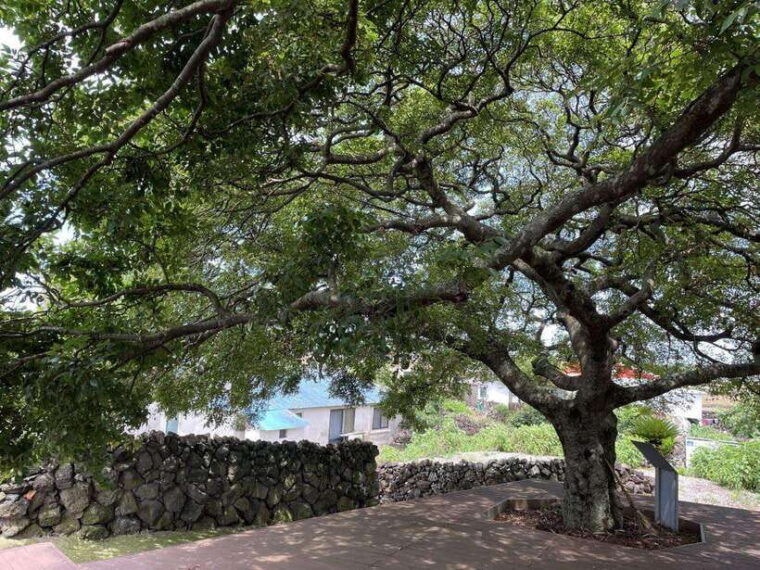 jeju-art-escape-explore-create-inspire