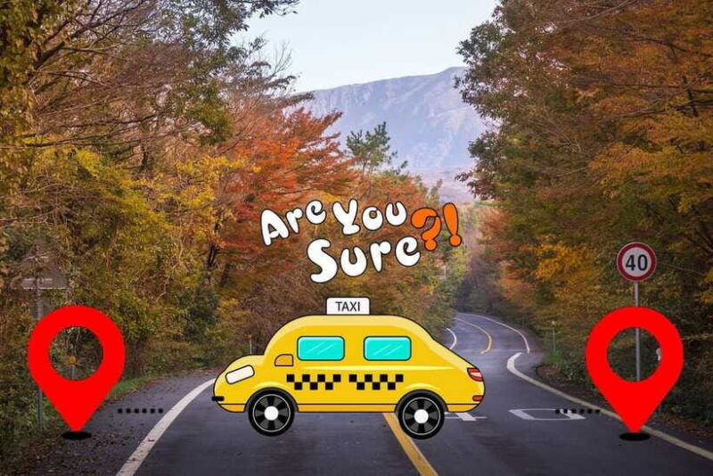 jeju-bts-are-you-sure-filming-locations-private-taxi-tour