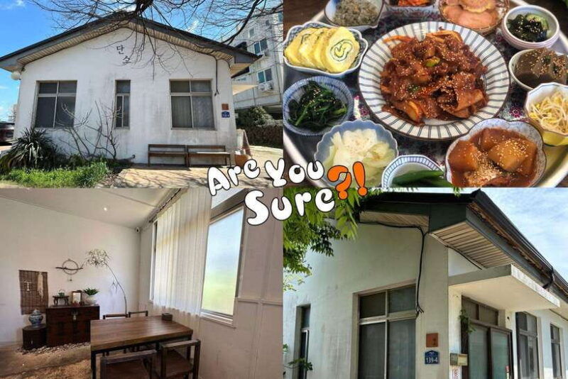 jeju-bts-are-you-sure-filming-locations-private-taxi-tour