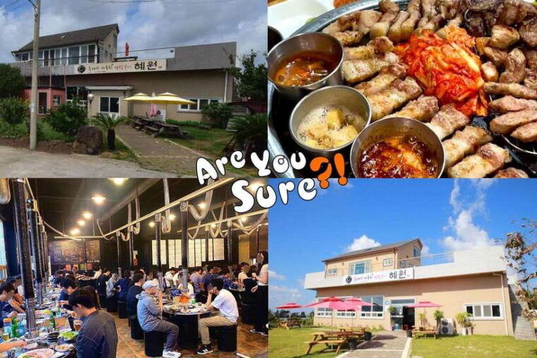 jeju-bts-are-you-sure-filming-locations-private-taxi-tour