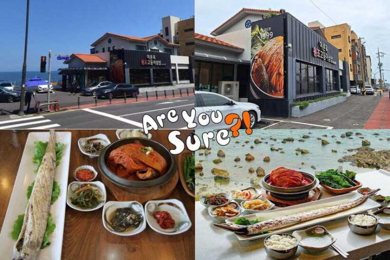 jeju-bts-are-you-sure-filming-locations-private-taxi-tour