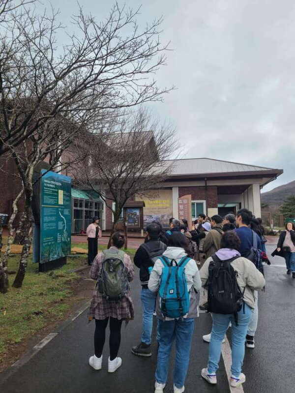 jeju-cherry-blossom-south-west-day-tour-with-hotel-pickup