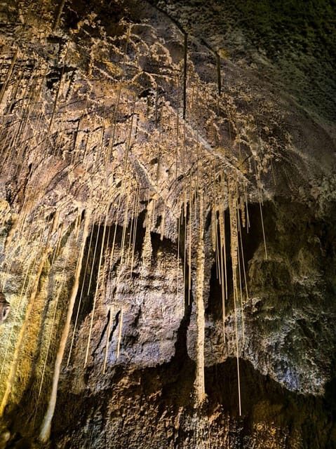 Jeju: customized shore excursions for up to 7 people - Food & Cultural Experiences