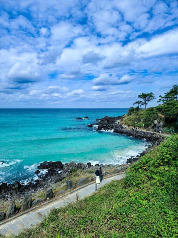 Jeju: Day Tour Hanbok, HALLASAN, Camellia, Sauna (W/pick-up) - FAQ