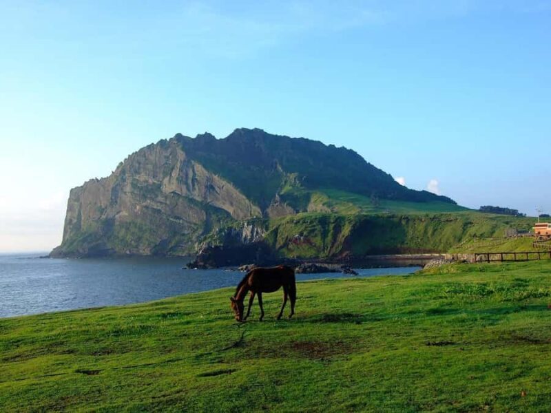 Jeju: Day Tour, Small Volcano & Landmark & UNESCO Heritage - The Practical Details