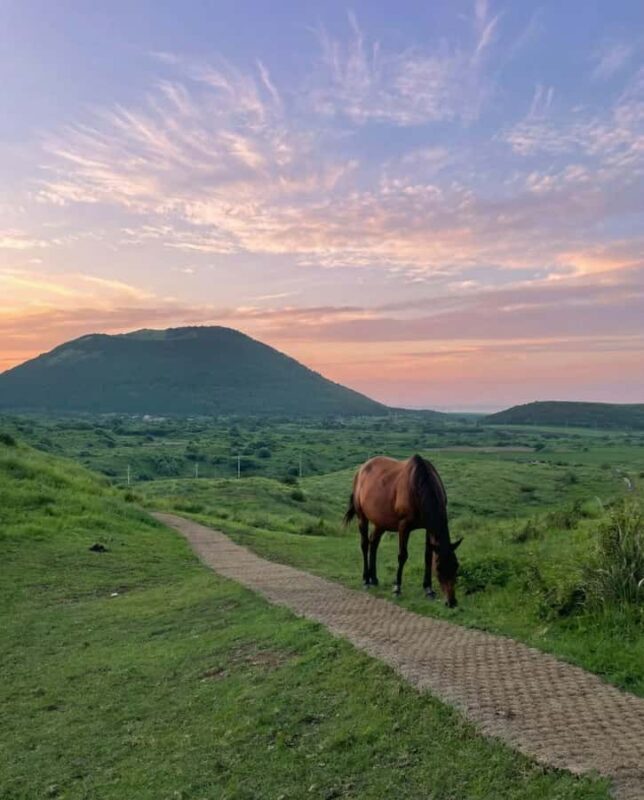 Jeju: Day Tour, Small Volcano & Landmark & UNESCO Heritage - What We Loved
