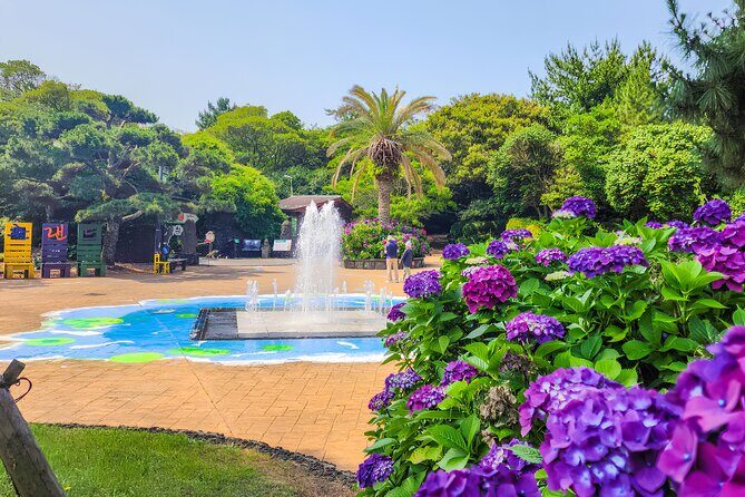Jeju East Hydrangea Tour with UNESCO site - Key Points