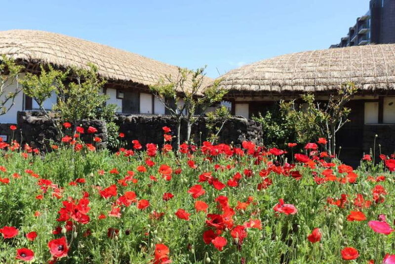 Jeju: East of Jeju Island Bus Tour from Seogwipo City - Manjanggul Cave or Hamdeok Beach Alternative