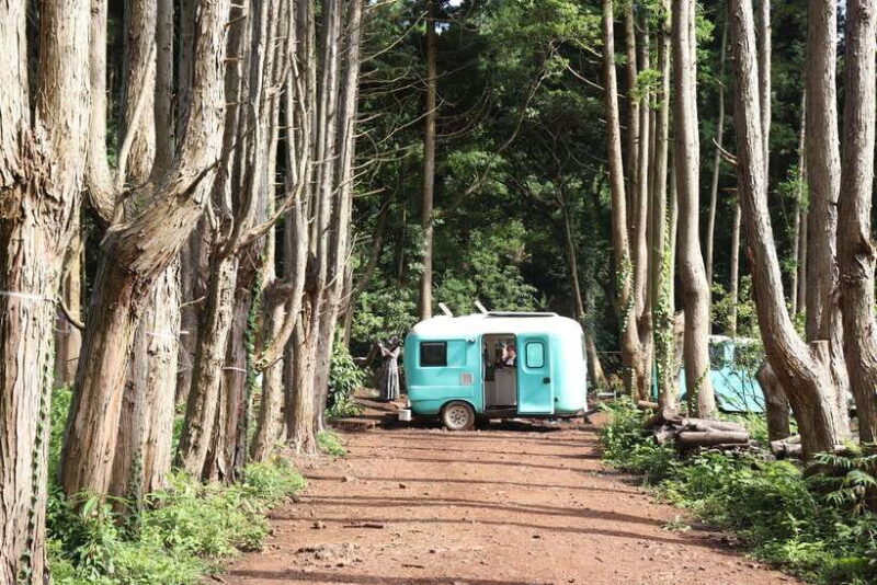 Jeju: East of Jeju Island Bus Tour from Seogwipo City - Final Stop & Departure