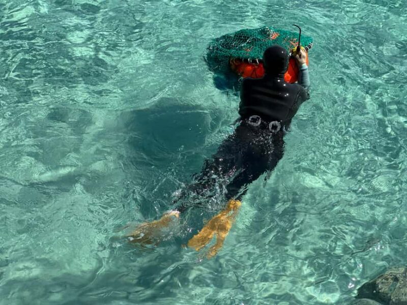 Jeju East: Small Group Healing Tour w/Woman Divers Show - Key Points  