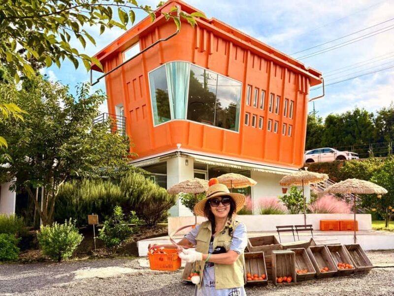 Jeju East: Small Group Healing Tour w/Woman Divers Show - Who is This Tour Perfect For?  