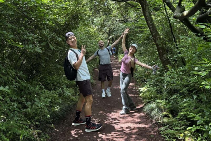 Jeju East: Small Group Healing Tour w/Woman Divers Show - Frequently Asked Questions  