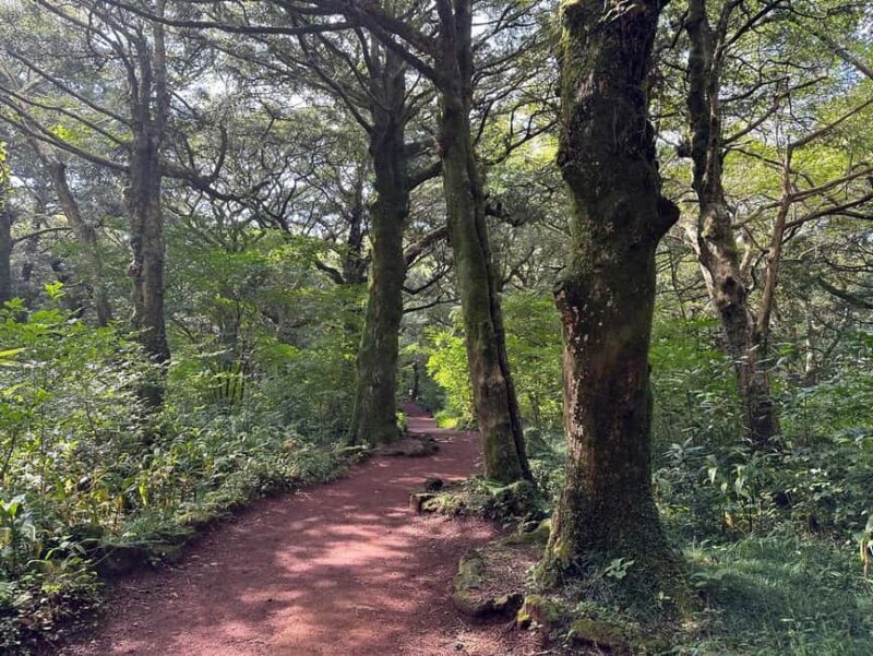 Jeju East: Small Group Healing Tour w/Woman Divers Show - Final Thoughts  