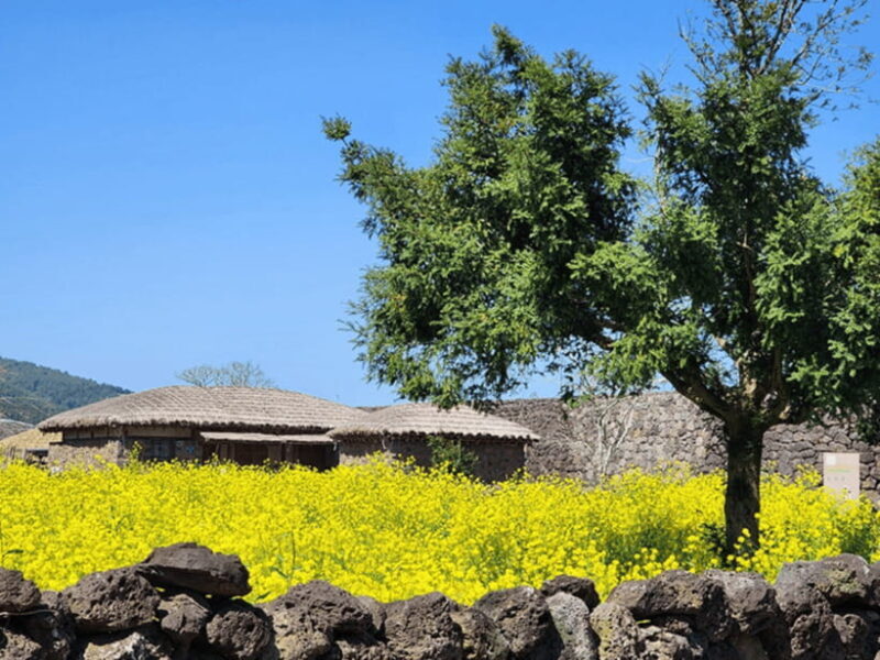 Jeju: Eastern Jeju UNESCO Spots Day Tour - FAQ