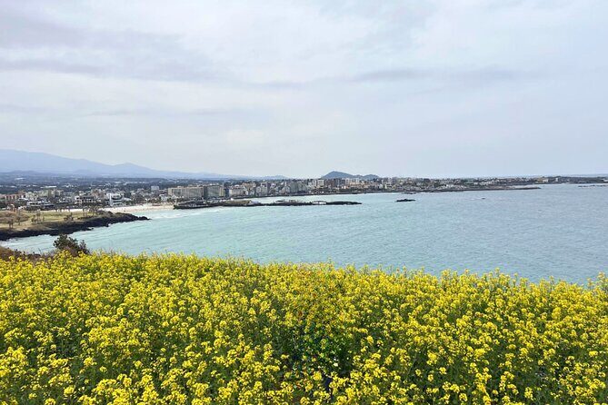 Jeju Eastern Must visit Unesco Spots Join In Tour - FAQs
