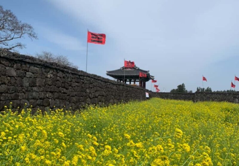 Jeju: Eastern Spring Cherry blossom& Canola & UNESCO Tour - FAQ