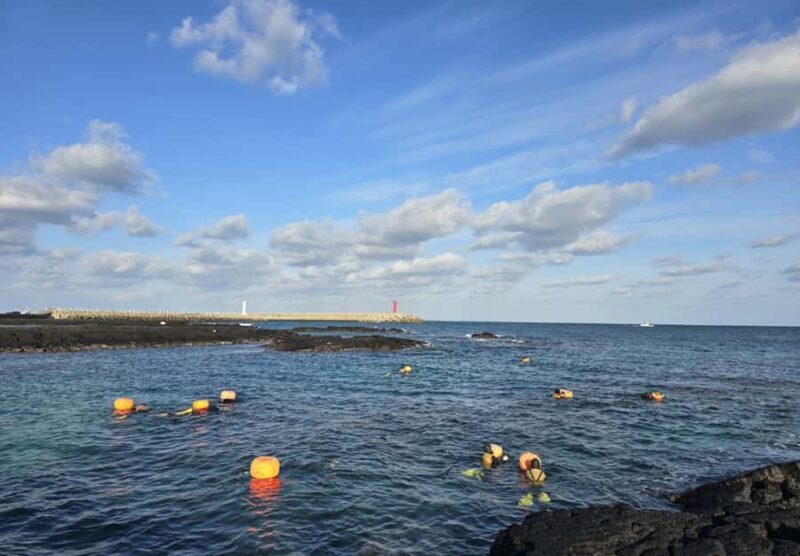 Jeju: Haenyeo Culture Experience with Seafood Tasting - Gimnyeonghang 1-gil: Cultural and Culinary Immersion
