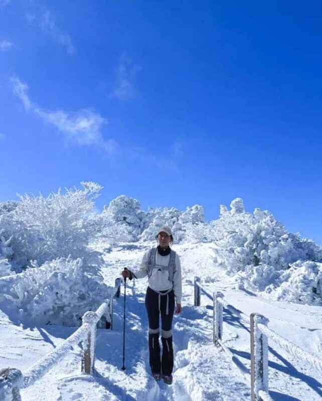 Jeju: HALLASAN National Park Guided Snow Climb (5hr_w/Gear) - The Experience in Detail