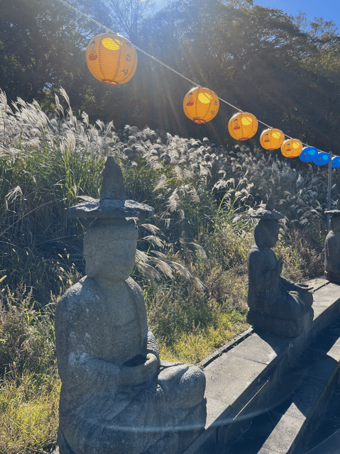 jeju-highlight-customized-private-tour-with-expert-guide