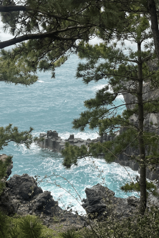 jeju-highlight-customized-private-tour-with-expert-guide