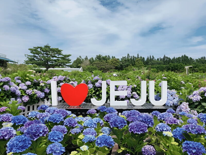 Jeju Hydragea Festival Tour : EAST Route - FAQs