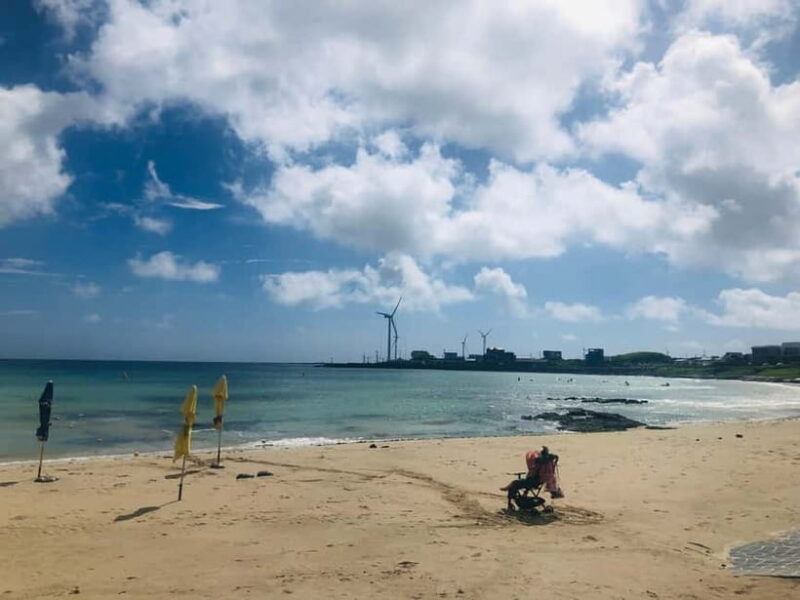 Jeju Island: Customized Private Full-Day Van Tour - A Closer Look at the Itinerary and Experience