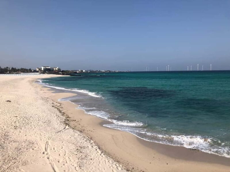 Jeju Island: Customized Private Full-Day Van Tour - Final Thoughts