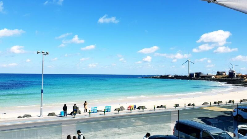 jeju-island-customized-private-full-day-van-tour