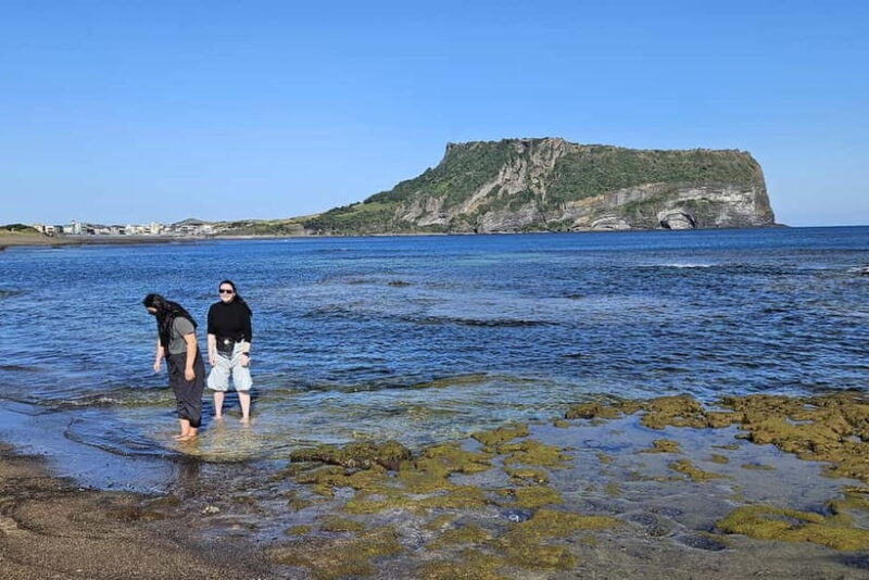 Jeju Island: East Jeju UNESCO Highlights Full-Day Tour - FAQ