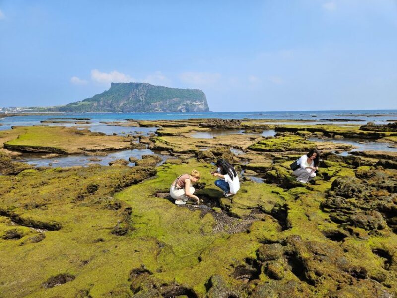 Jeju Island: East Jeju UNESCO Highlights Full-Day Tour - Final Note