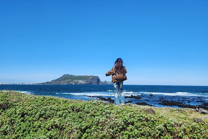 Jeju Island -Full Day Flexible Sightseeing Private (Guide tour) - Conclusions