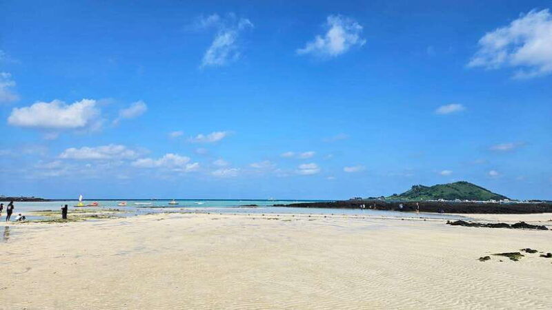 jeju-island-full-day-southwest-bus-tour-with-entry-fees