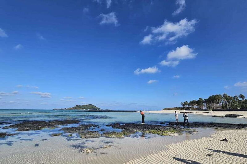 jeju-island-full-day-southwest-bus-tour-with-entry-fees