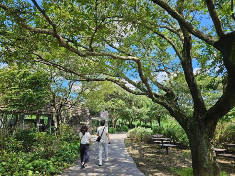 jeju-island-full-day-southwest-bus-tour-with-entry-fees