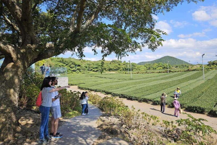 jeju-island-full-day-southwest-bus-tour-with-entry-fees