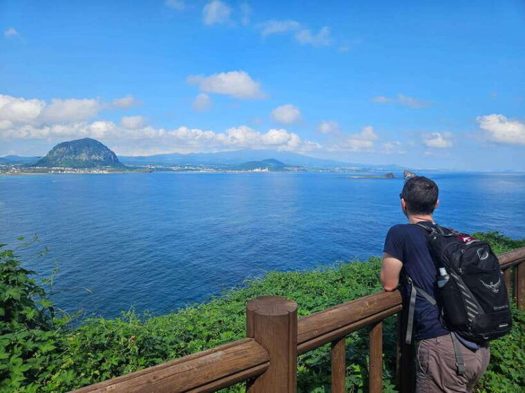 jeju-island-full-day-southwest-bus-tour-with-entry-fees