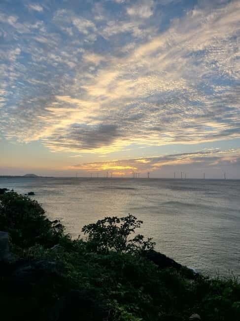 Jeju Island: Hallasan Mountain Winter Scenery Guided Tour - Key Points