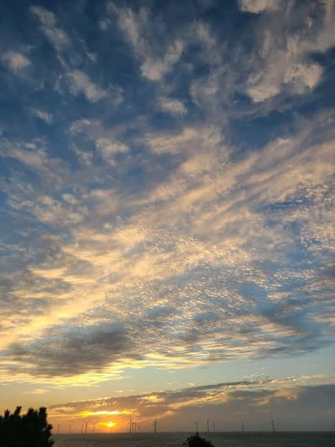 Jeju Island: Hallasan Mountain Winter Scenery Guided Tour - What You Can Expect from the Tour